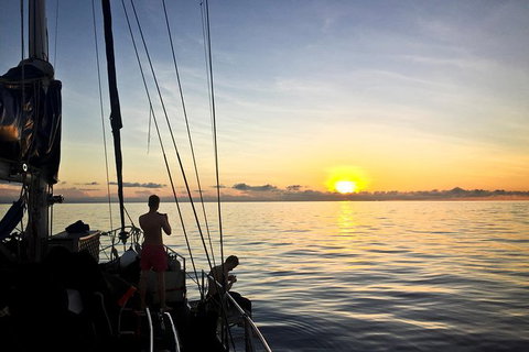 Coral Sea Dreaming: Overnight Dive, Snorkel And Sail Experience From Cairns - Holiday Cairns 1