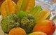 Private Half Day Tour: Exclusive World Heritage Rainforest And Waterfall Tour From Cairns - thumb 6