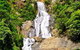 Private Half Day Tour: Exclusive World Heritage Rainforest And Waterfall Tour From Cairns - thumb 5