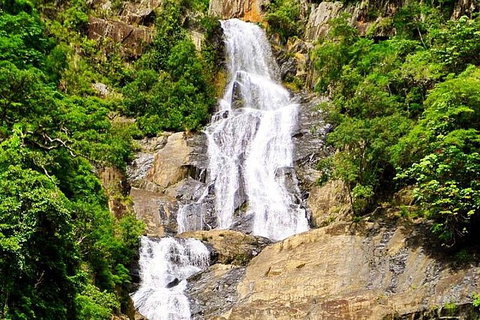 Private Half Day Tour: Exclusive World Heritage Rainforest And Waterfall Tour From Cairns - Holiday Cairns 5