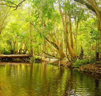 Private Half Day Tour Exclusive World Heritage Rainforest and Waterfall Tour from Cairns - Holiday Cairns