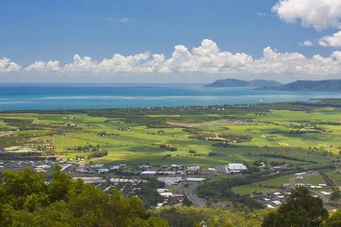 Private Half Day Tour: Exclusive World Heritage Rainforest And Waterfall Tour From Cairns - Holiday Cairns 4