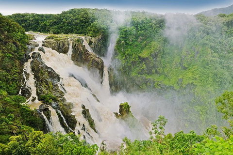 Private Half Day Tour: Exclusive World Heritage Rainforest And Waterfall Tour From Cairns - Holiday Cairns 3
