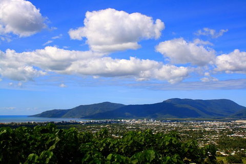 Private Half Day Tour: Exclusive World Heritage Rainforest And Waterfall Tour From Cairns - Holiday Cairns 1