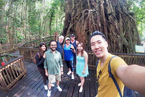Private Half Day Tour: Exclusive World Heritage Rainforest And Waterfall Tour From Cairns - Holiday Cairns 2