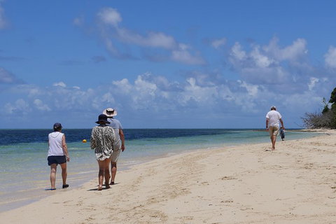 2-Day Great Barrier Reef Combo: Green Island Sailing And Outer Reef Snorkel Cruise - Holiday Cairns 7