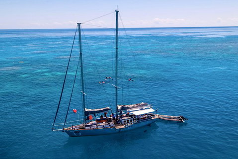 2-Day Great Barrier Reef Combo: Green Island Sailing And Outer Reef Snorkel Cruise - Holiday Cairns 4