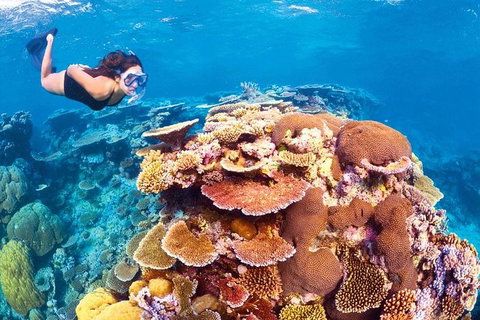 6-Day Best Of Cairns Including The Great Barrier Reef, Kuranda And The Daintree Rainforest - Holiday Cairns 0