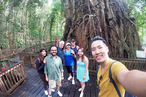 6-Day Best Of Cairns Including The Great Barrier Reef, Kuranda And The Daintree Rainforest - Holiday Cairns 5