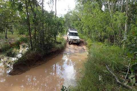 6-Day Best Of Cairns Including The Great Barrier Reef, Kuranda And The Daintree Rainforest - Holiday Cairns 7