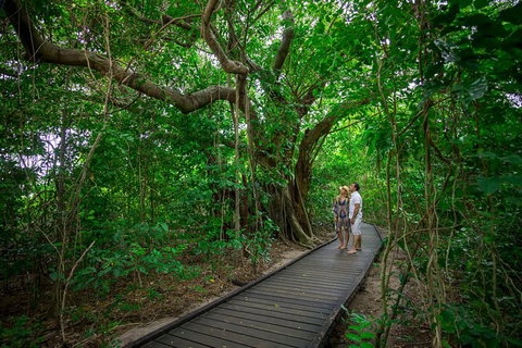 3-Day Green Island Great Barrier Reef Package From Cairns - Holiday Cairns 6
