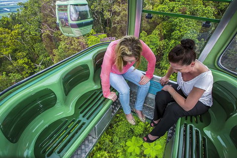 8-Day Cairns Tour: Great Barrier Reef, Kuranda, Daintree Rainforest - Holiday Cairns 1