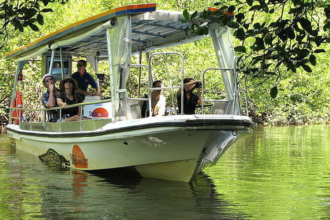 8-Day Cairns Tour: Great Barrier Reef, Kuranda, Daintree Rainforest - Holiday Cairns 3