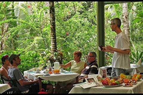 8-Day Cairns Tour: Great Barrier Reef, Kuranda, Daintree Rainforest - Holiday Cairns 5