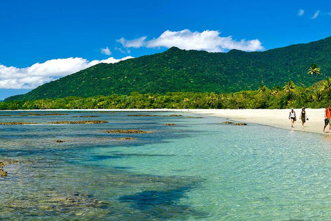 8-Day Cairns Tour: Great Barrier Reef, Kuranda, Daintree Rainforest - Holiday Cairns 4
