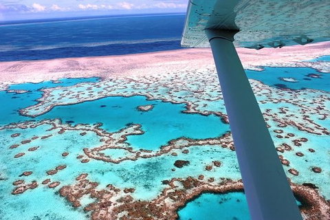 8-Day Cairns Tour: Great Barrier Reef, Kuranda, Daintree Rainforest - Holiday Cairns 0