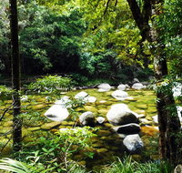 Cairns Daintree Rainforest and Cape Tribulation 2-Day Tour - Holiday Cairns