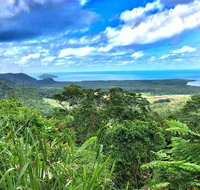 Private Daintree National Park Day Tour from Cairns Including Cape Tribulation and Mossman Gorge - Holiday Cairns