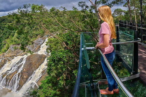 Skyrail Rainforest Cableway Day Trip From Cairns - Holiday Cairns 19