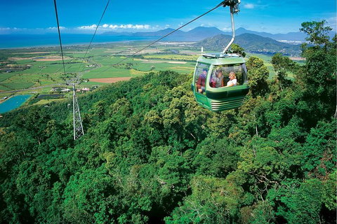 Skyrail Rainforest Cableway Day Trip From Cairns - Holiday Cairns 0
