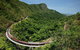 Skyrail Rainforest Cableway Day Trip From Cairns - thumb 4