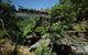 Skyrail Rainforest Cableway Day Trip From Cairns - thumb 13