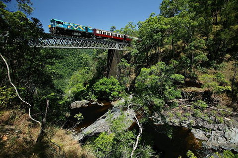 Skyrail Rainforest Cableway Day Trip From Cairns - Holiday Cairns 13