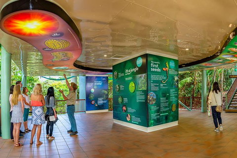 Skyrail Rainforest Cableway Day Trip From Cairns - Holiday Cairns 10