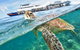 Scenic Helicopter Flight To Moore Reef And Return Snorkeling Cruise From Cairns - thumb 5