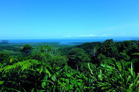3-Day Far North Queensland: Atherton Tablelands, Cooktown, Daintree Via 4WD - Holiday Cairns 8