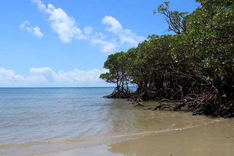 3-Day Far North Queensland: Atherton Tablelands, Cooktown, Daintree Via 4WD - Holiday Cairns 7