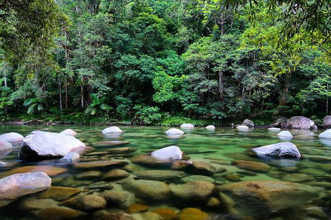 3-Day Far North Queensland: Atherton Tablelands, Cooktown, Daintree Via 4WD - Holiday Cairns 9