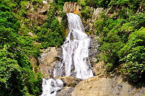 3-Day Far North Queensland: Atherton Tablelands, Cooktown, Daintree Via 4WD - Holiday Cairns 6