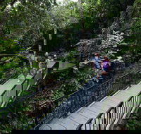 4-Day Cairns with Great Barrier Reef and Daintree Rainforest - Holiday Cairns