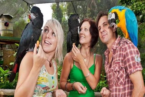 Kuranda Day Tour, TKS-3 Wildlife Gold 930 - Holiday Cairns 2