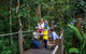 Kuranda Tour Via Skyrail And Kuranda Scenic Rail - thumb 14