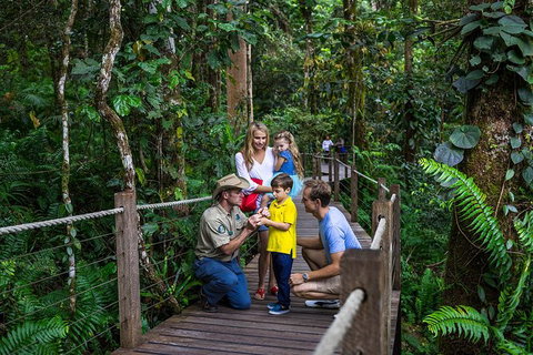 Kuranda Tour Via Skyrail And Kuranda Scenic Rail - Holiday Cairns 14