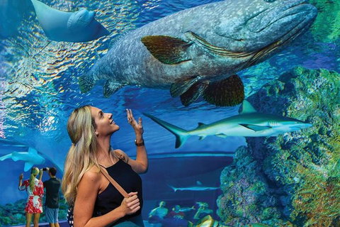 Cairns Aquarium Family Tickets - Holiday Cairns 0