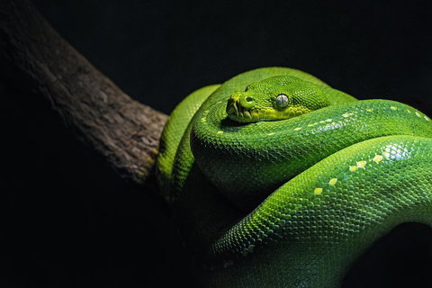 Cairns Aquarium Family Tickets - Holiday Cairns 1