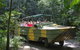 Kuranda Rainforest Station, Scenic Railway And Skyrail Tour - thumb 1