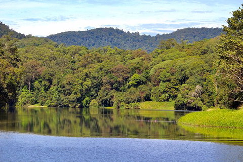 Kuranda Riverboat Sightseeing Cruise - Holiday Cairns 7