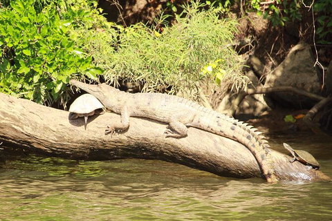 Kuranda Riverboat Sightseeing Cruise - Holiday Cairns 2