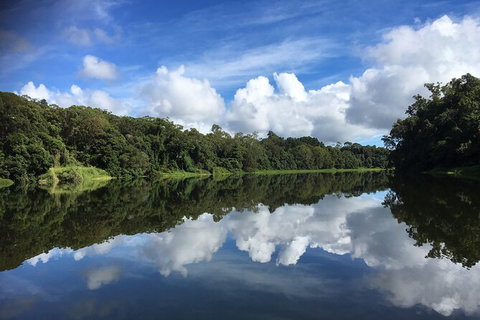 Kuranda Riverboat Sightseeing Cruise - Holiday Cairns 13