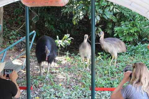 Kuranda Riverboat Sightseeing Cruise - Holiday Cairns 4