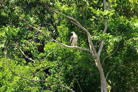 Kuranda Riverboat Sightseeing Cruise - Holiday Cairns 1