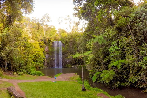11-day Cairns To Darwin Tour - Holiday Cairns 1