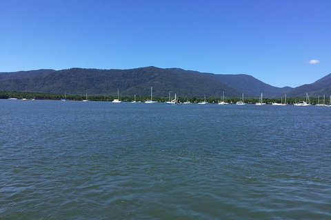 Cairns City Tour - Holiday Cairns 9