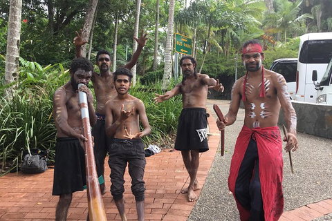 Cairns City Tour - Holiday Cairns 2