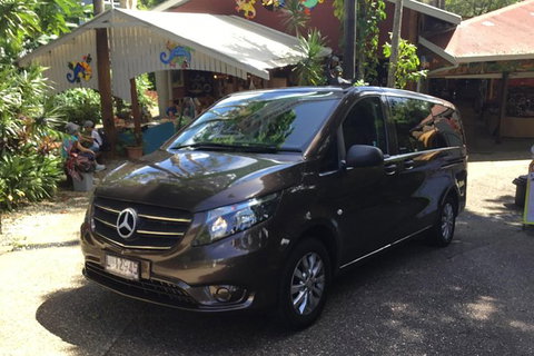 Cairns City Tour - Holiday Cairns 0