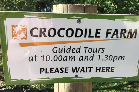Cairns City Tour - Holiday Cairns 3